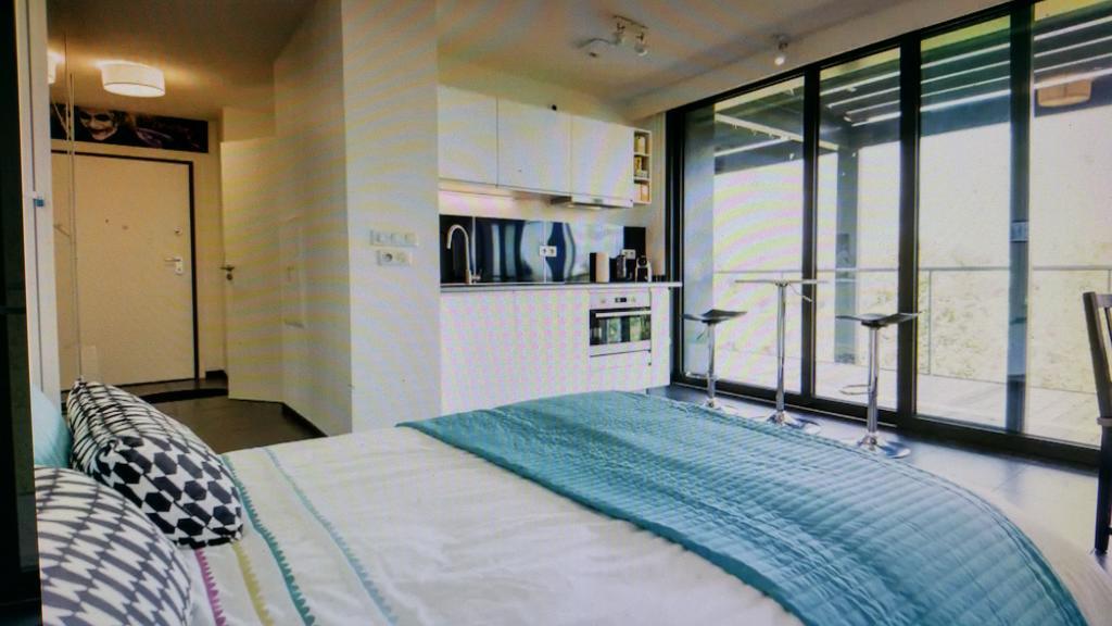 Studio Avec Terrace Docks Strasbourg Eksteriør billede