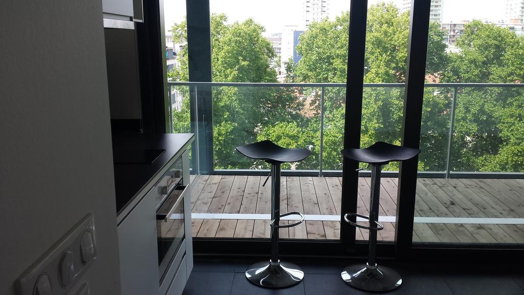 Studio Avec Terrace Docks Strasbourg Eksteriør billede